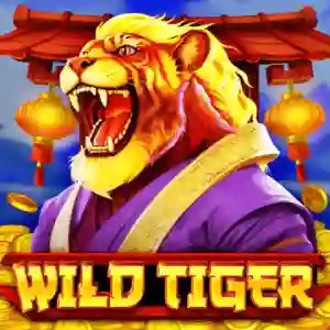 Play Wild Tiger slot by BGAMING on betriot-gr.gr